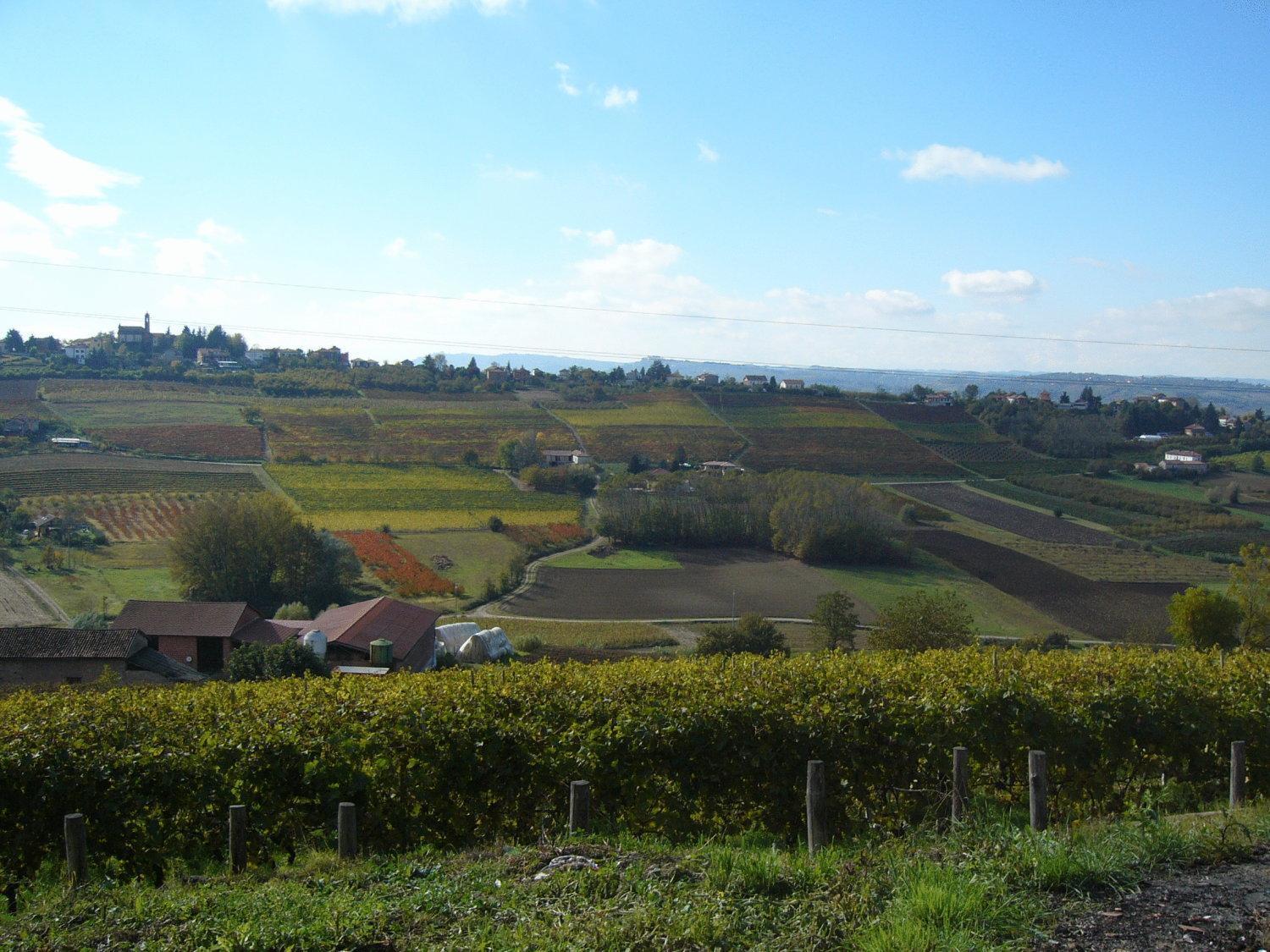 Agriturismo Podere La Piazza Costigliole d'Asti Exterior photo